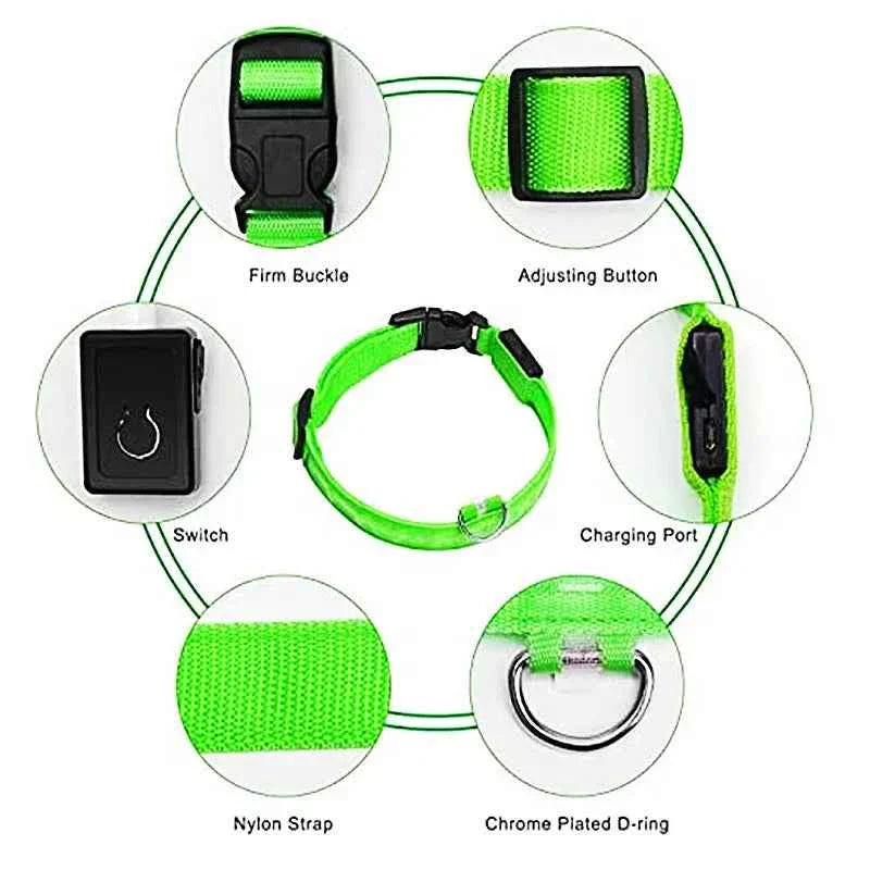 LED Pet Dog Collar for Night Safety | Bright USB Rechargeable