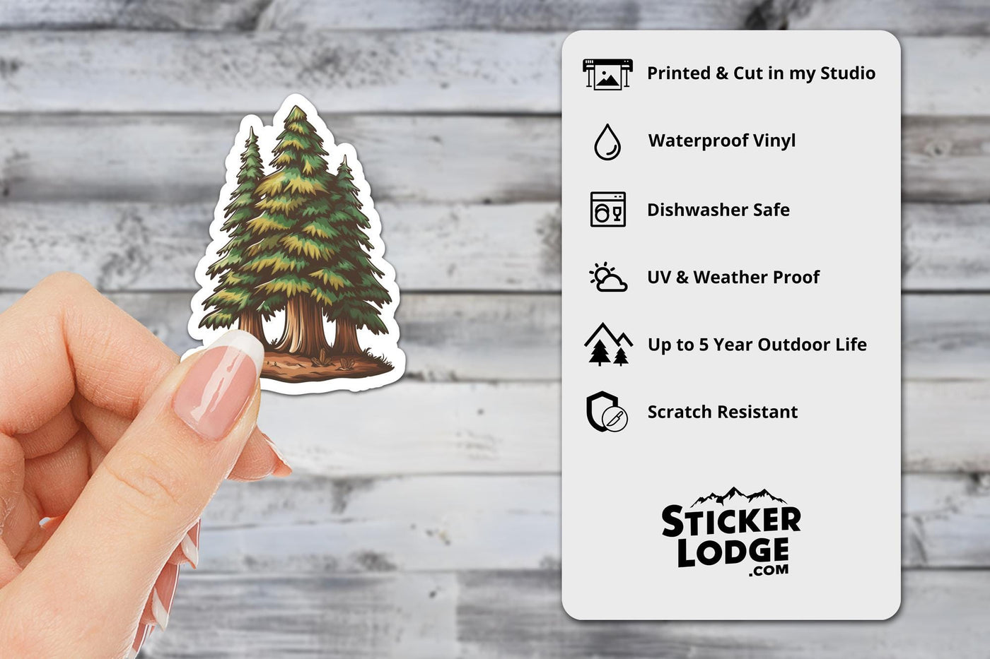Redwood Evergreen Forest Vinyl Sticker