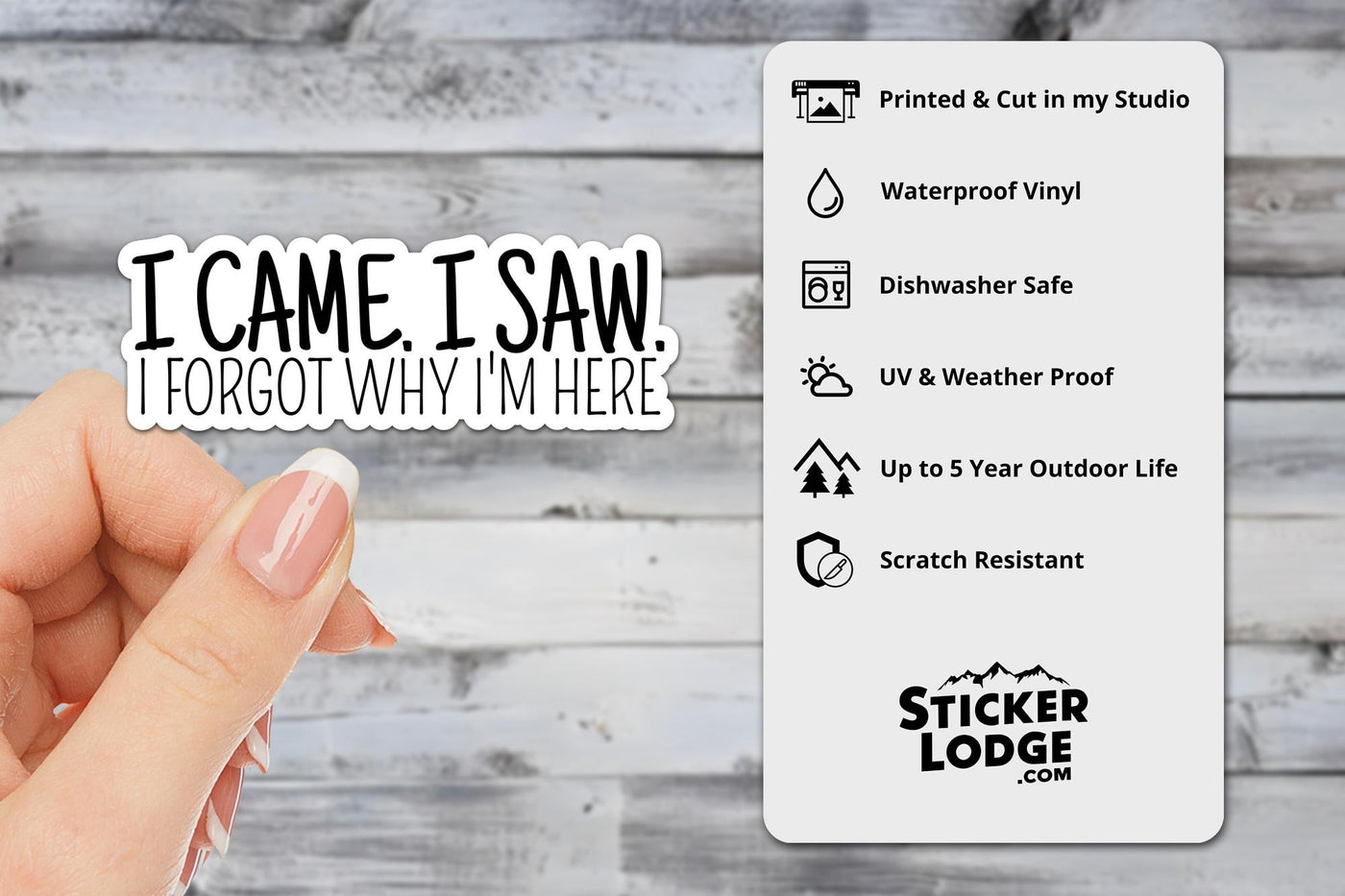 I Came, I Saw, I Forgot Why I'm Here Vinyl Sticker