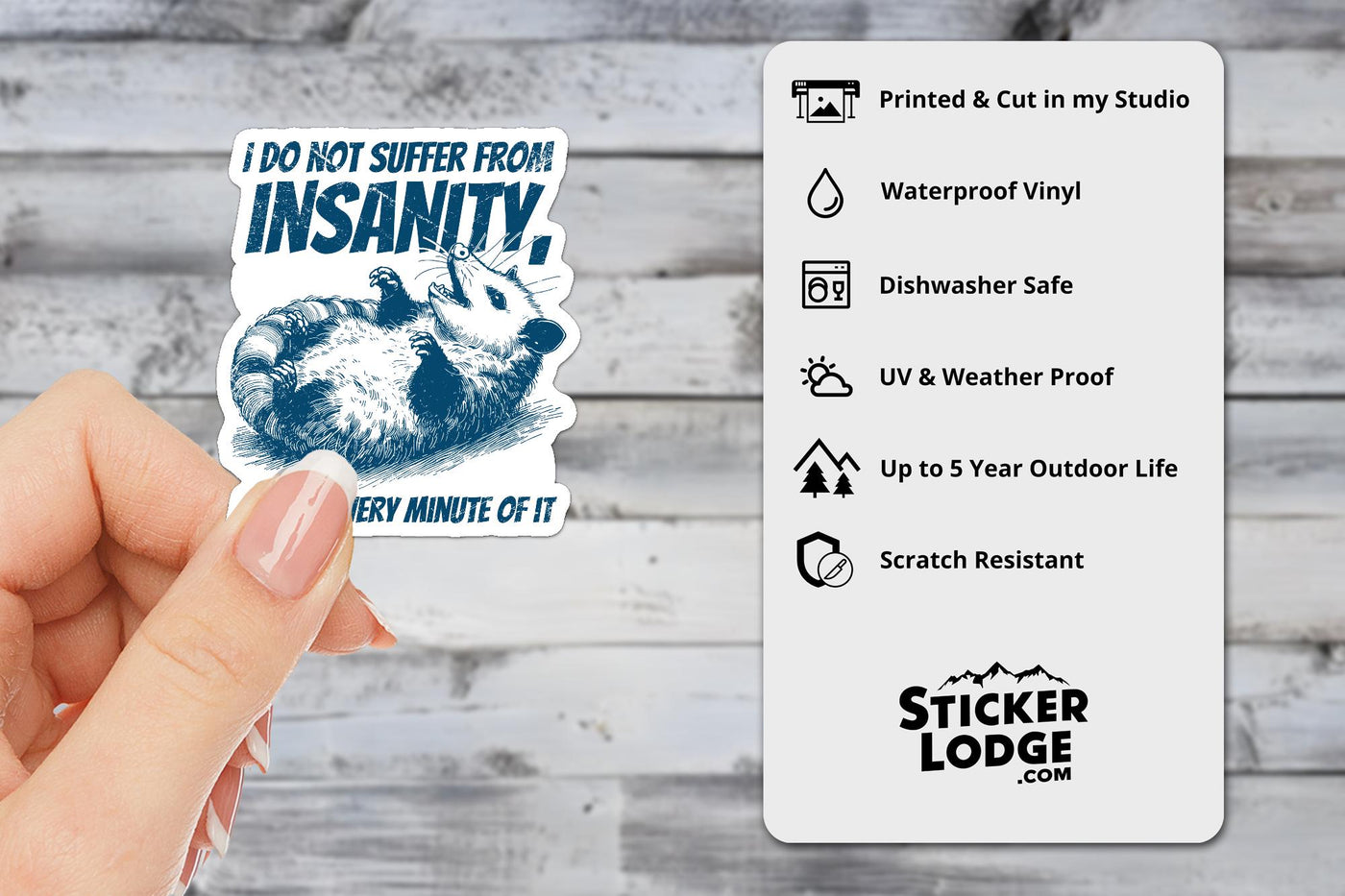 I Do Not Suffer From Insanity Vinyl Sticker